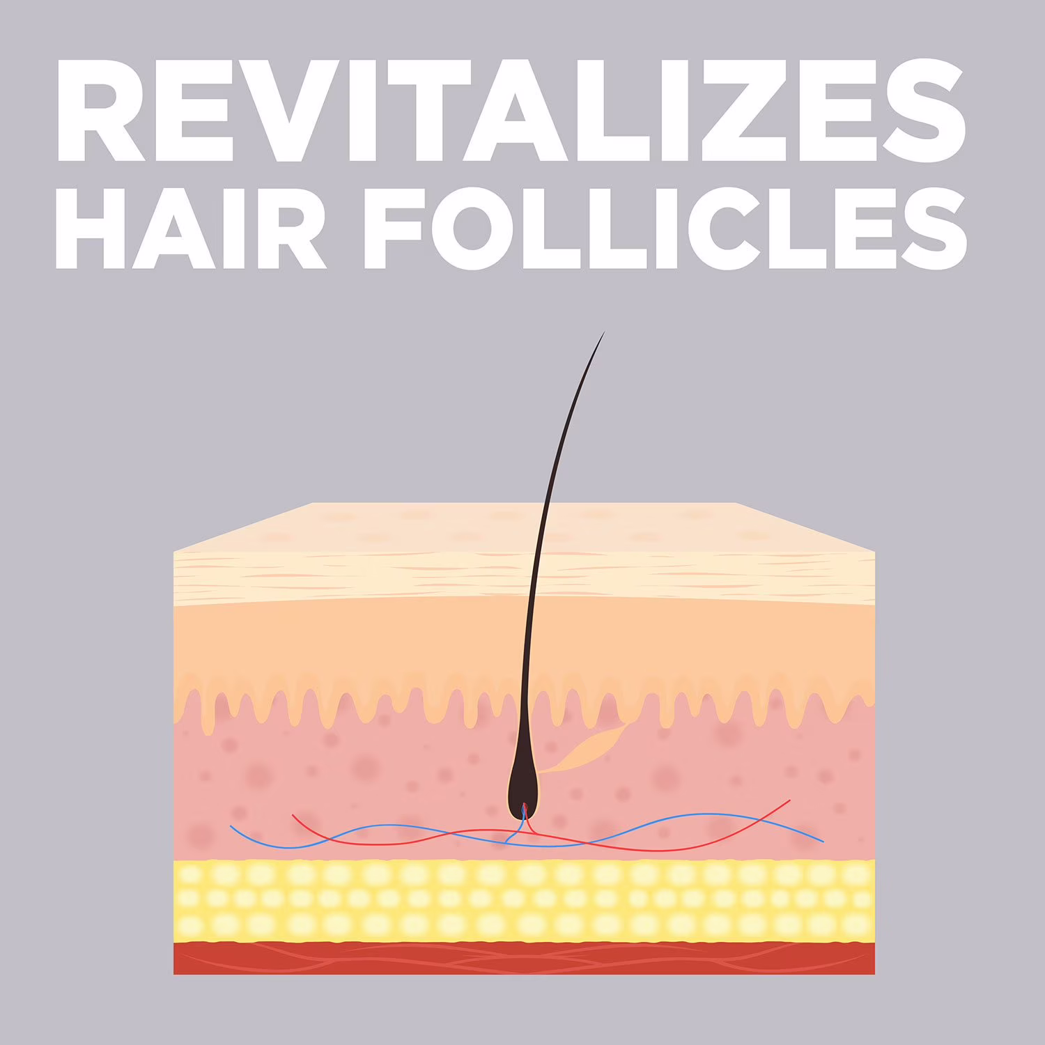 Member's Mark дермален разтвор миноксидил срещу косопад за 6 месеца - Image 5